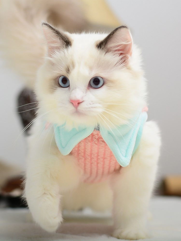 Cat Sweater XS-XL