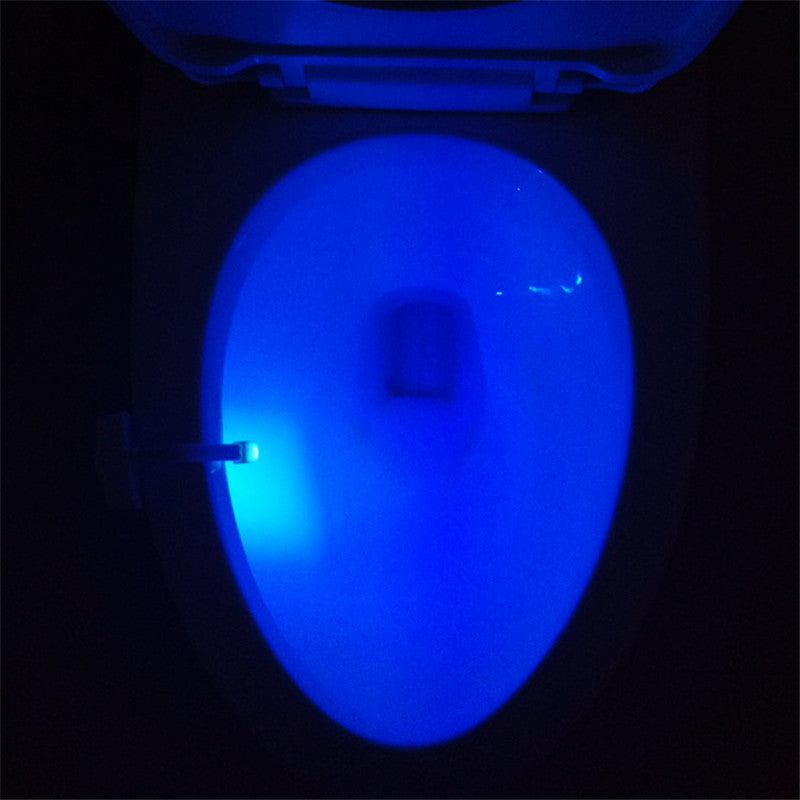 LED Toilet Bowl Night Light