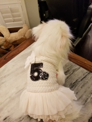 No. 5 Dog Sweater