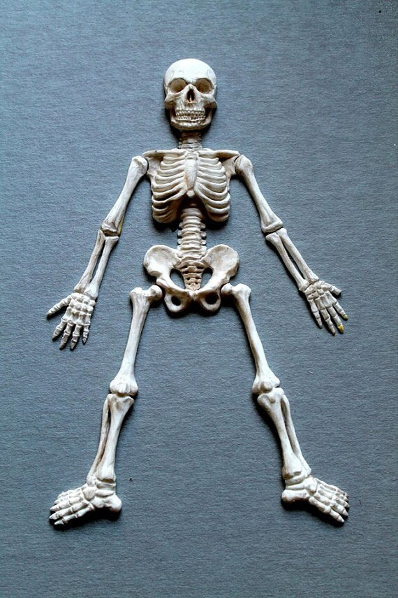 Skeleton Mold