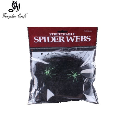 False Spider Web
