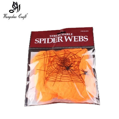 False Spider Web